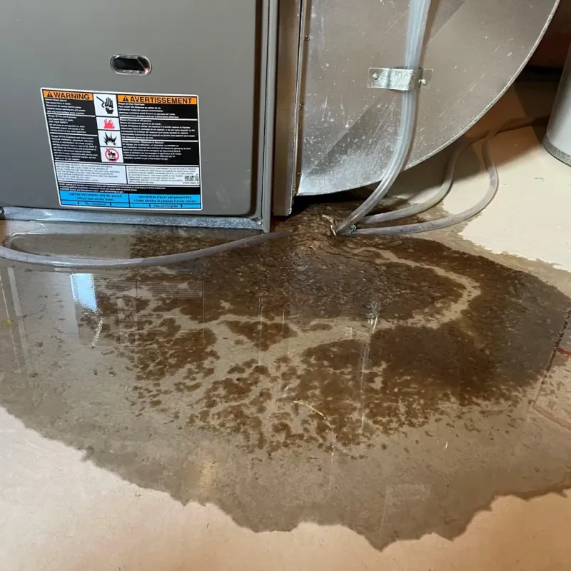 Appliance Leak Cleanup in Logan County, AR
