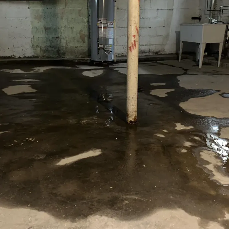 Emergency Water Extraction And Removal in Logan County, AR
